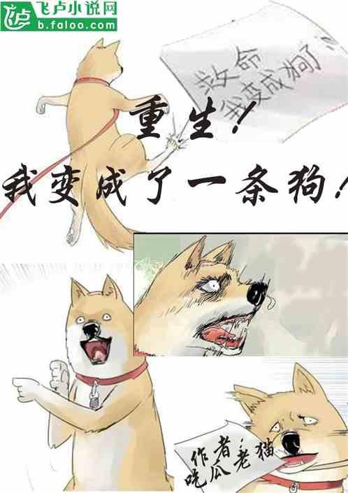 吃瓜人小说合集,揭秘娱乐圈背后的故事与真相