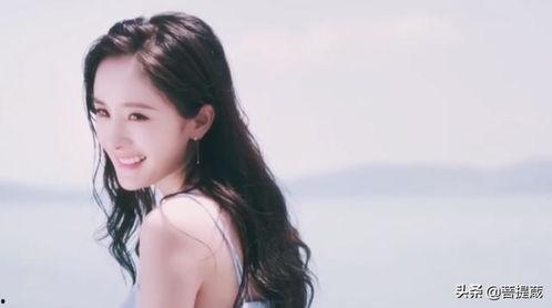 娱乐圈算命吃瓜小说,揭秘明星命运与八卦风云