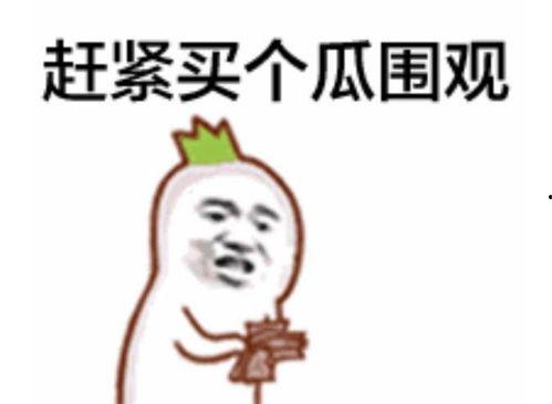 吃瓜的表情什么意思,揭秘网络社交中的趣味与内涵