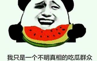 吃瓜群众什么意思网络词语,网络新语“吃瓜群众”背后的社会现象解析